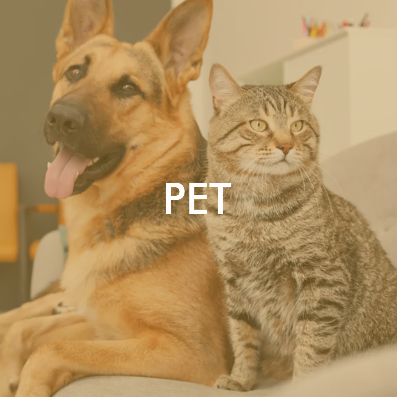 Pet