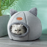 Caminha Coberta Kat