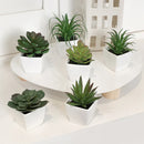 Mini Suculentas Artificiais Decorativas Para Interior Houss