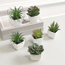 Mini Suculentas Artificiais Decorativas Para Interior Houss