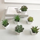 Mini Suculentas Artificiais Decorativas Para Interior Houss