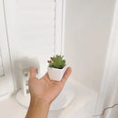 Mini Suculentas Artificiais Decorativas Para Interior Houss