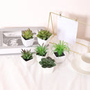 Mini Suculentas Artificiais Decorativas Para Interior Houss